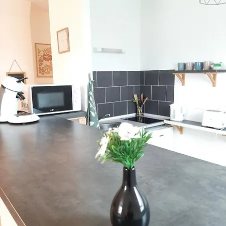 Proche Aeroport A Pied O Fleuri *