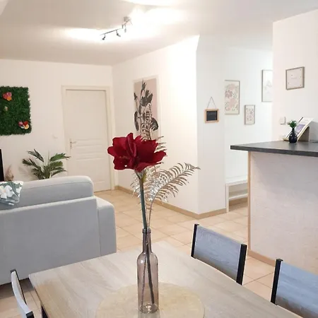Apartment Proche Aeroport A Pied O Fleuri *