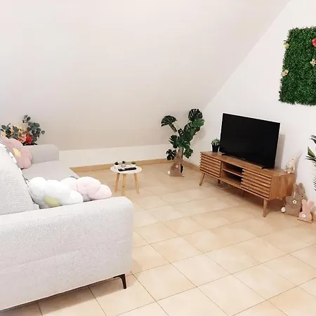 Proche Aeroport A Pied O Fleuri Lejlighed