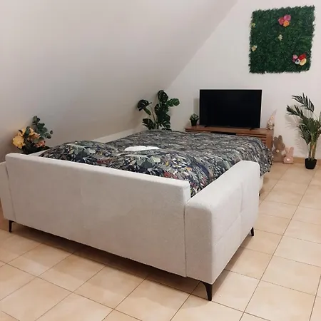 Proche Aeroport A Pied O Fleuri Apartment Tille