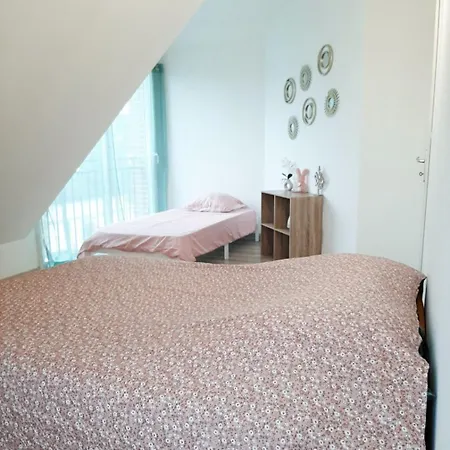 Apartment Proche Aeroport A Pied O Fleuri Tille