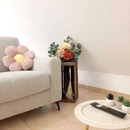 Proche Aeroport A Pied O Fleuri