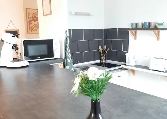 Proche Aeroport A Pied O Fleuri *