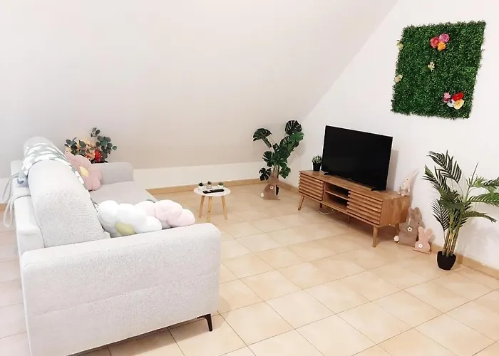 Proche Aeroport A Pied O Fleuri Apartament