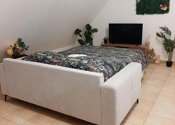 Proche Aeroport A Pied O Fleuri Apartament Tillé