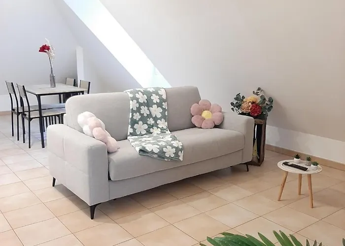 Proche Aeroport A Pied O Fleuri * Tillé