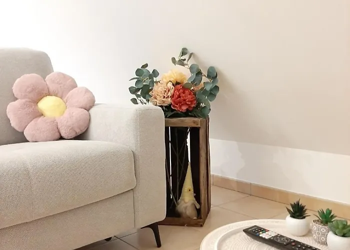 Proche Aeroport A Pied O Fleuri